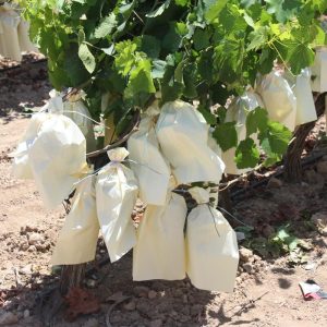 bolsas para proteger los racimos de uvas pack de 100 unidades, varios tamaños.